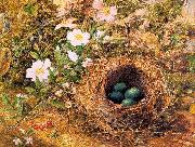 Hill, John William Bird's Nest and Dogroses Sweden oil painting artist